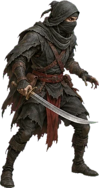 Shadows