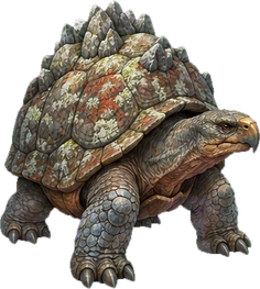 Rock turtles