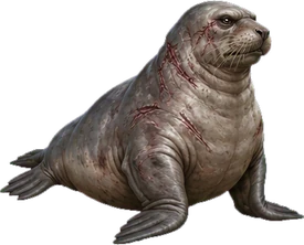Seals